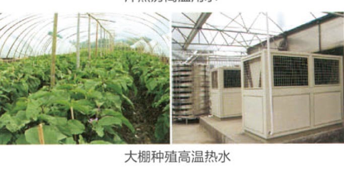 大棚种植.jpg